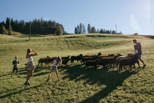 a group of people herding a herd of cattle in a field at Hotel Tauernhof in Grossarl