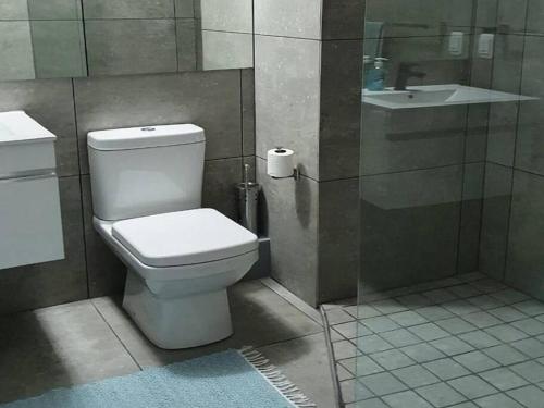 a bathroom with a toilet and a sink at Santos Beach Pavilion E in Mossel Bay