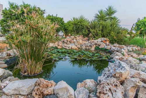 a pond with rocks and plants in a garden at B&B Giardino Isabella in Palagiano