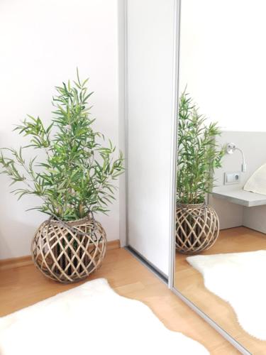 ザコパネにあるApartament Bolek i Apartament Lolekの鉢植えの植物が2本入ったバスルームの鏡