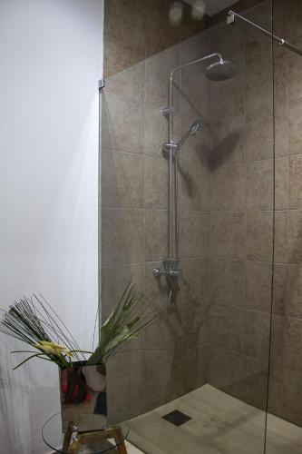 a shower in a bathroom with a glass door at Bairro das Flores in Tomar