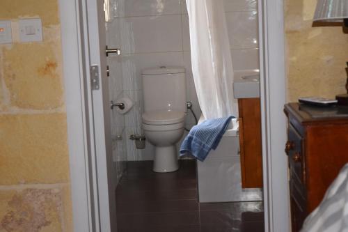a small bathroom with a toilet and a sink at Maria Townhouse Heart of Victoria B&B in Victoria
