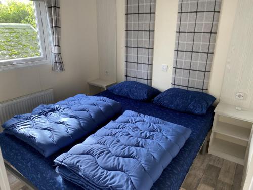twee blauwe bedden in een kamer met een raam bij RBR 722 - Beach Resort Kamperland in Kamperland