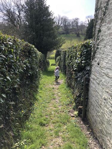 Κήπος έξω από το Enchanted Retreats at West Ford Devon