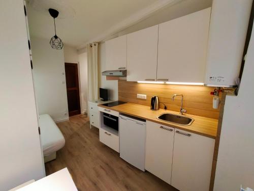 a small kitchen with white cabinets and a sink at Studio Croix Rousse in Lyon