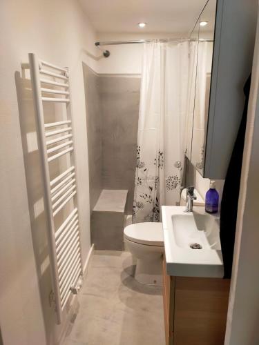 a bathroom with a toilet and a sink and a shower at Studio Croix Rousse in Lyon