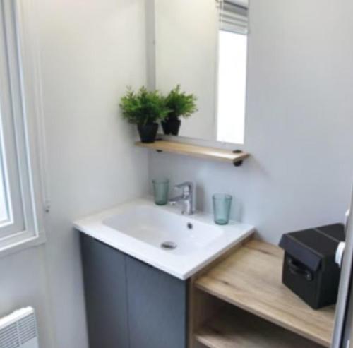 a bathroom with a sink and a mirror at Les mobilhomes helvétiques 4 étoiles Mar Estang Canet en Roussillon in Canet-en-Roussillon