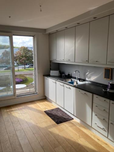A kitchen or kitchenette at Lichtrijk mooi appartement met zicht op hof van Roosendael