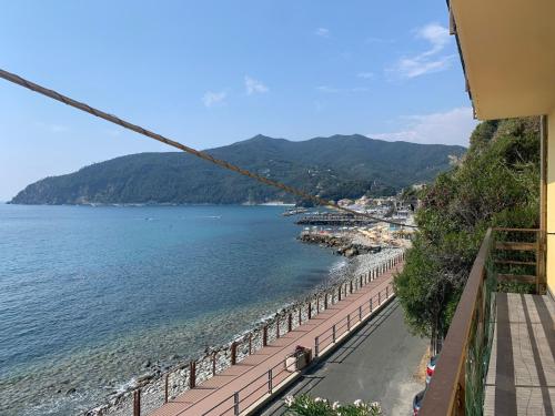 アパートメントの近くで見られる自然の景観