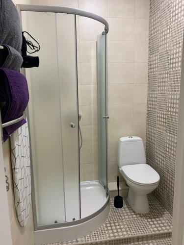 La salle de bains est pourvue d'une douche et de toilettes. dans l'établissement 0263-1 Смарт-апартаменты ЖК «Счастливый», à Kiev