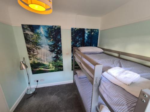 a bedroom with two bunk beds and a painting on the wall at 2 bedroom house with hot tub, near beaches etc in Holdenhurst