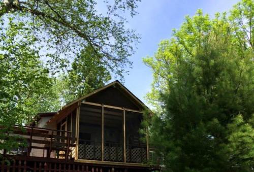 Republic Island – Photos 3