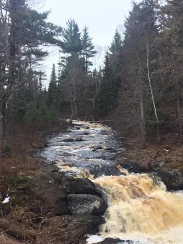 Tioga Falls Cabin – Photos 2