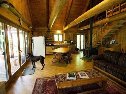 Tioga Falls Cabin – Photos 5
