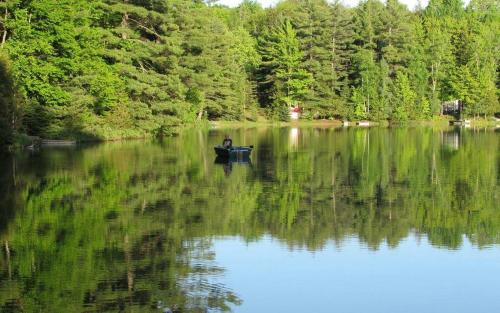 Turtle Cove on Town Lake – Photos 3