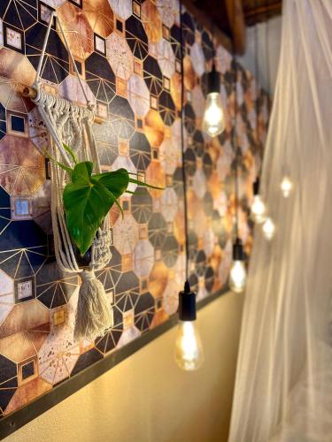 プライア・ド・トフォにあるMozambeat Motelの鉢植えのタイル張りの壁