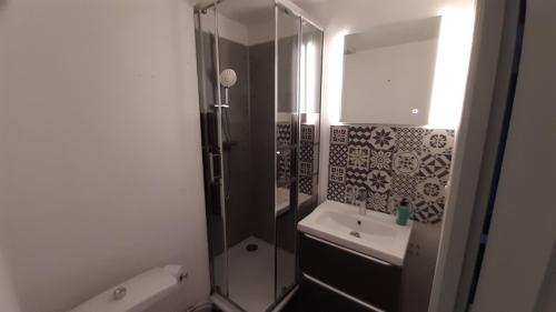 une salle de bain avec une douche, des toilettes et un lavabo dans l'établissement Studio 402 au 15 rue Battant à Besançon, à Besançon
