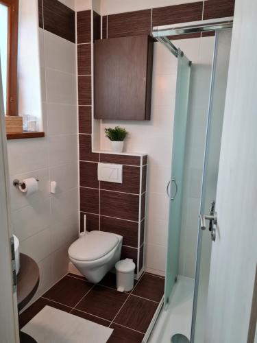 a small bathroom with a toilet and a shower at Vila MAX - WHIRLPOOL & BAZÉN & SAUNA in Velké Losiny