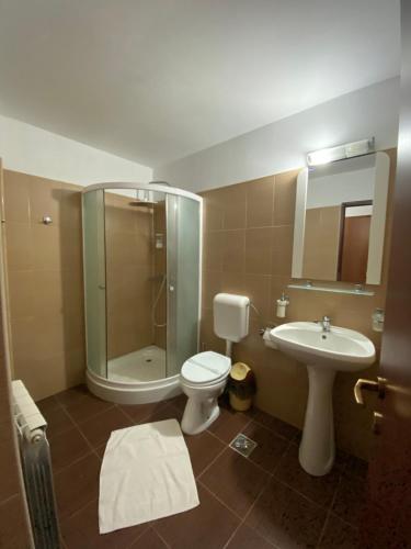 a bathroom with a shower and a toilet and a sink at Pensiunea Fantanita haiducului in Ciungetu