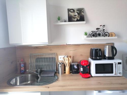 un comptoir de cuisine avec un évier et un micro-ondes dans l'établissement Le 1965 Double BALNEO, confort et romantique, à Grenoble