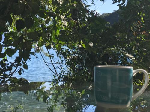 Φυσικό τοπίο κοντά σε αυτό το διαμέρισμα