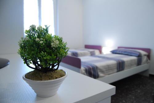 une plante en pot assise sur une table dans une chambre dans l'établissement ORIZZONTE SUL MARE, à Savone