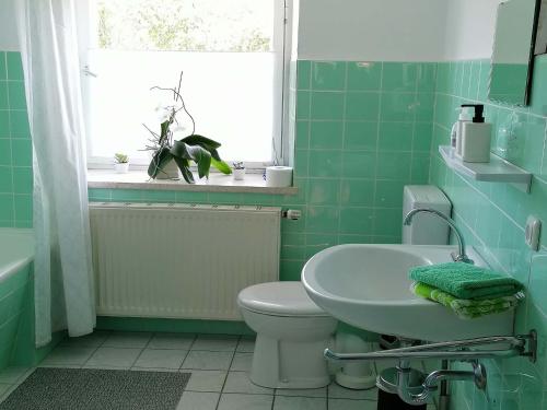 ein grünes Bad mit einem WC und einem Waschbecken in der Unterkunft Ferienhaus Josefine in Bad Endorf
