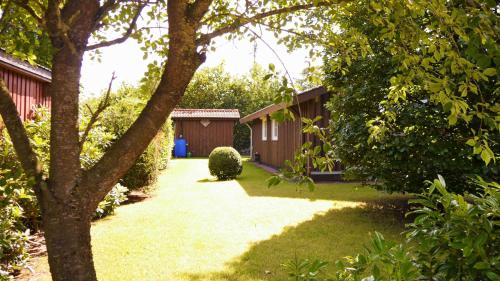 a yard with a house and a tree at Stolley - Ferienhaus mit Garten, Kamin und Sauna in Silberstedt