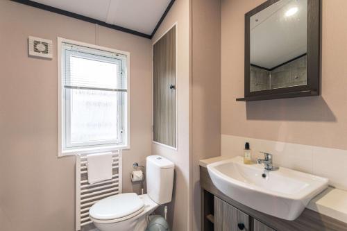 a bathroom with a toilet and a sink and a window at Bushmills Lodge with Hot Tub in Thornton
