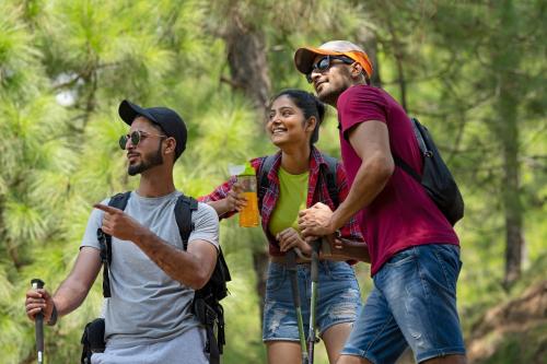 a group of three people walking in the woods at Skyview by Empyrean in Patnitop