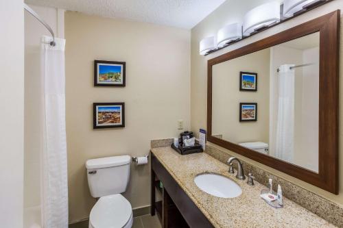 a bathroom with a toilet and a sink and a mirror at Comfort Inn Charleston South in Charleston