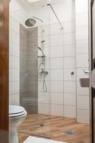a bathroom with a shower with a toilet and a sink at Villa Adelaida in Sarajevo