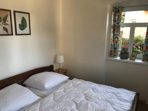 Gallery image of Apartmán DUO Plešivec in Abertamy
