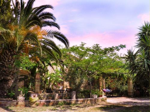 a group of palm trees in front of a building at Clio apartments in Kambos