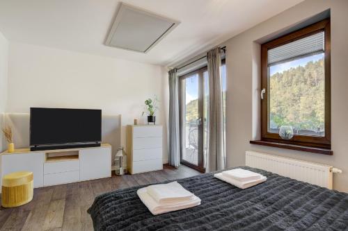 a bedroom with a bed with a tv and a window at Apartament 7.0 in Roztoka Wielka