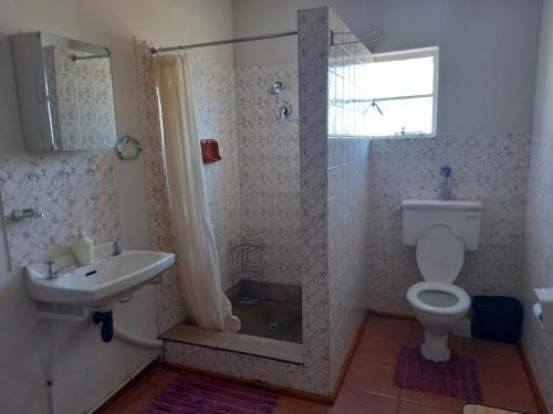 a bathroom with a toilet and a sink and a shower at Brandwag Pool Room in Prieska