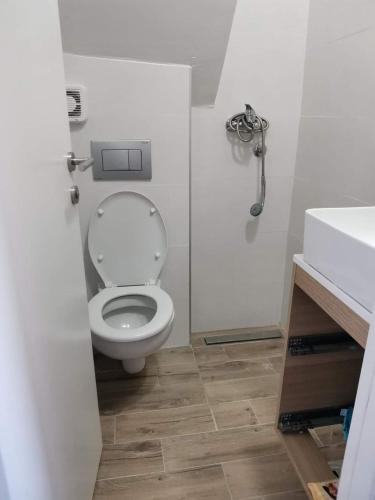 a bathroom with a toilet and a sink at Divčibare Planinski mir A19 in Divčibare