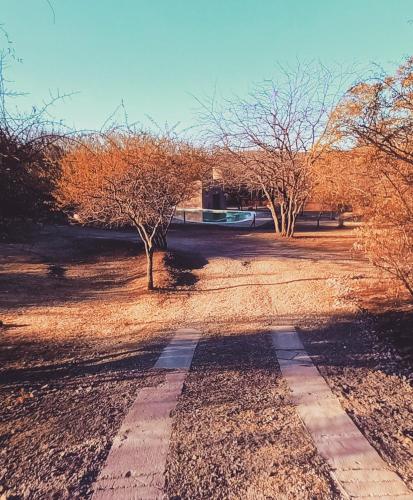 a dirt road with trees in a field at Complejo Megevand in Río Ceballos