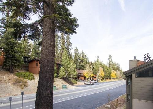 a tree on the side of a road next to a house at St Anton Courtyard View Ski-In and Out 1 Bedroom Condo in Mammoth Lakes