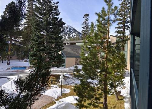 a snow covered yard with trees and a mountain at St Anton Courtyard View Ski-In and Out 1 Bedroom Condo in Mammoth Lakes