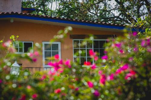 Κήπος έξω από το Villa Coiros ECOFRIENDLY suites & villas