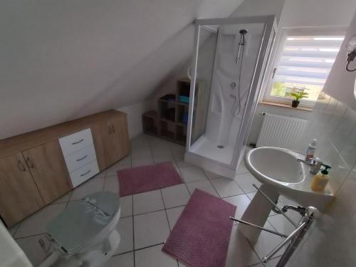 a bathroom with a sink and a toilet and a mirror at FeWo Zur Alten Drechslerei in Freital