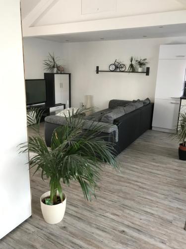 a living room with a potted plant on the floor at Jeannette in Balingen