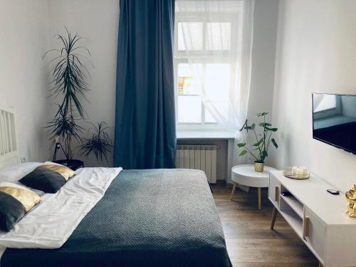 um quarto com uma cama, uma secretária e uma televisão em Duo 2 Debniki Apartment em Cracóvia