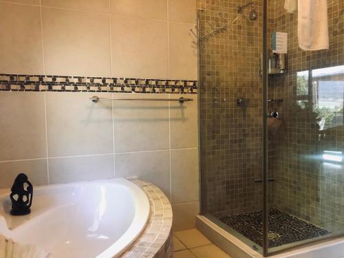 a bathroom with a tub and a glass shower at Wellington Country House in Wellington