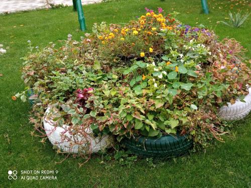 a large pot filled with flowers in the grass at Guest House Vila Banjica in Pirot