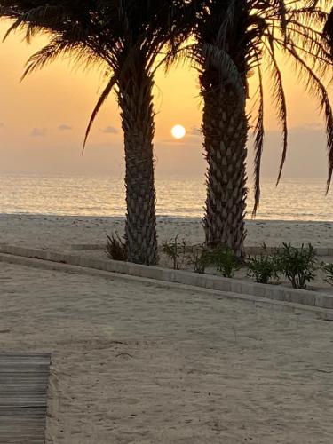 two palm trees on the beach at sunset at Villa Nº 25 Alfredo Marchetti Suites on the Beach,Praia de Chaves BV in Cabeçadas