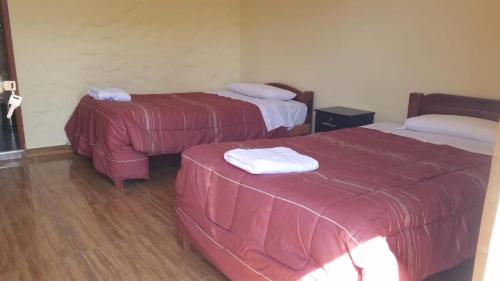 Tempat tidur dalam kamar di Las Palmeras Eco Hostel