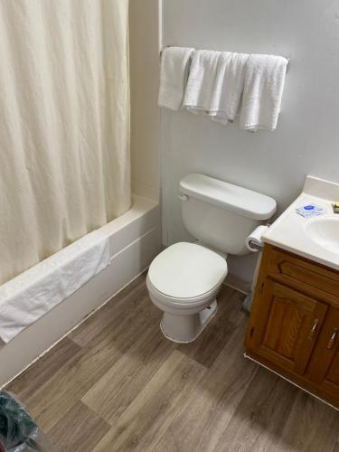 a bathroom with a toilet and a shower and a sink at Royal Inn in Albany