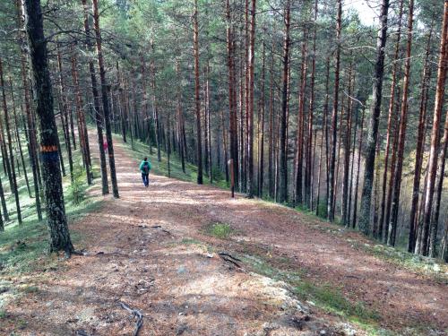 a person walking down a dirt road in the woods at Hotell Vindelngallerian in Vindeln